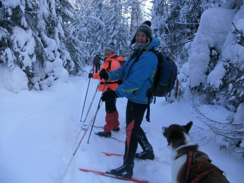Адреналина хватило на всех