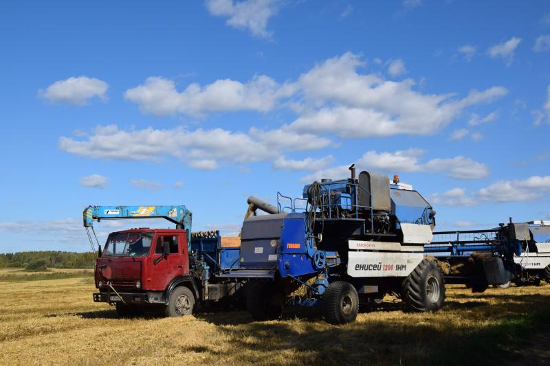 Заготовили корма и прибрали в закрома