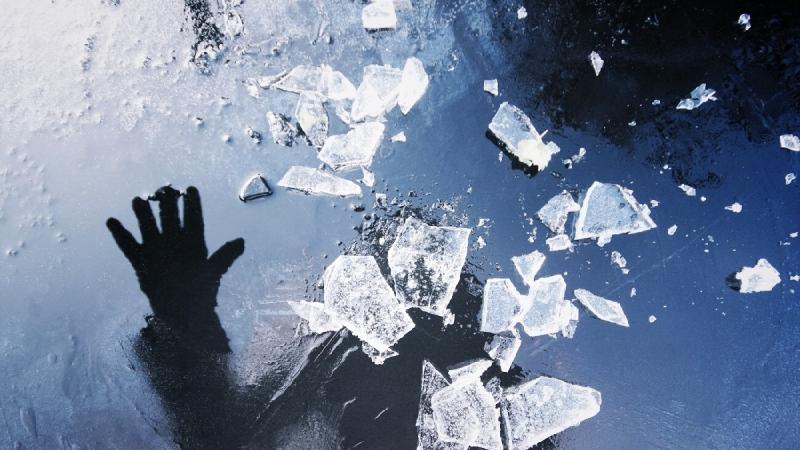 Последняя прогулка