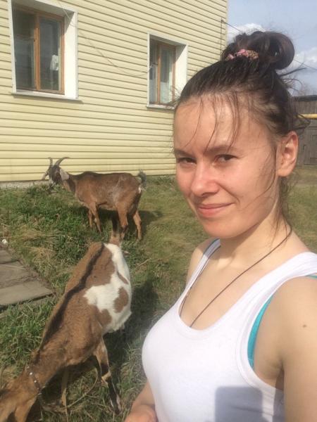 С заботой о … козе