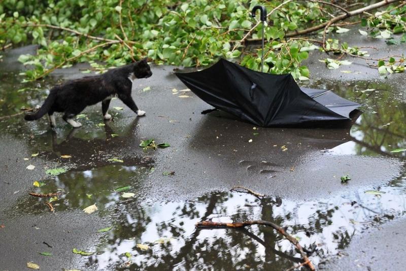 Устранение последствий урагана в Кушвинском городском округе находится на контроле регионального МинЖКХ