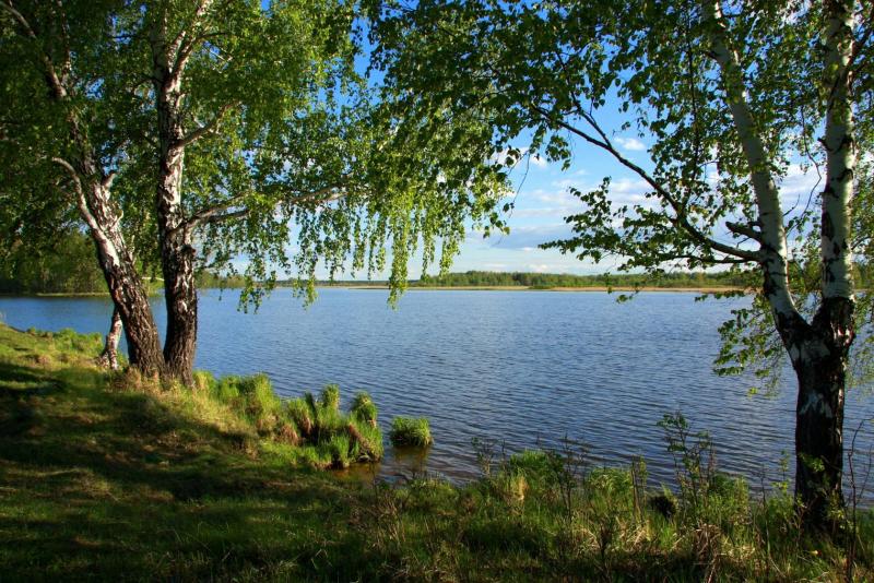 В гостях хорошо, а у нас в гостях – лучше!