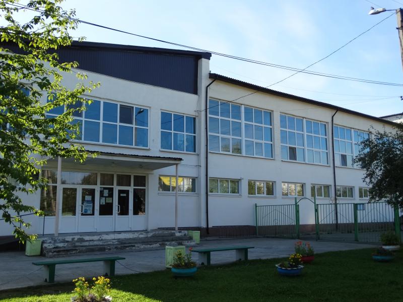 20 спортивных лет