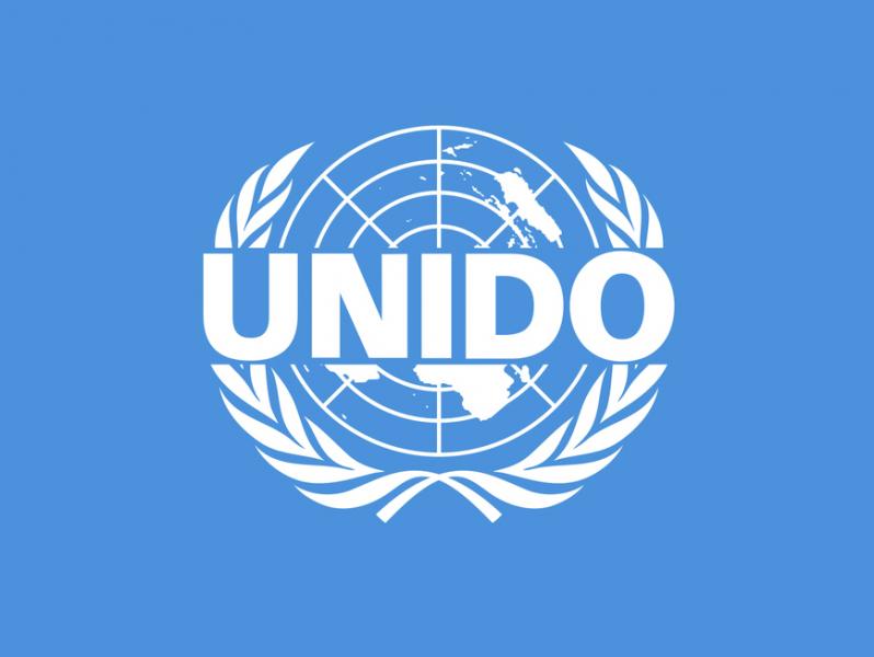 Свердловская стратегия развития промышленности и территорий получила высокую оценку на форуме ЮНИДО