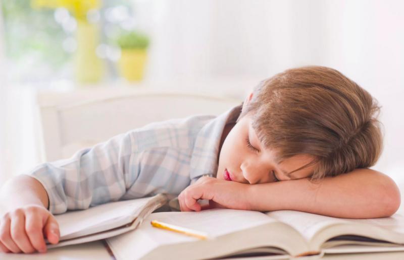 Тяжело в учении… Или проблемы перегруза школьника