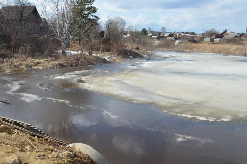 Да будет пруд!