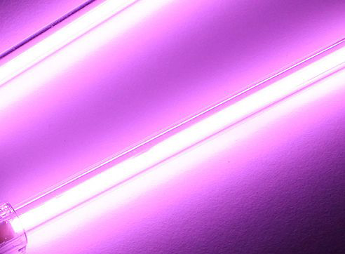 Увеличен в 10 раз