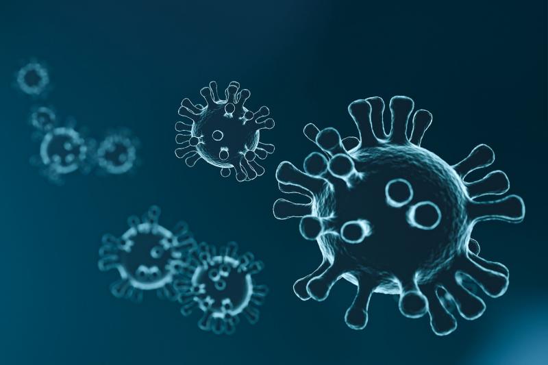 «Полку» прибыло