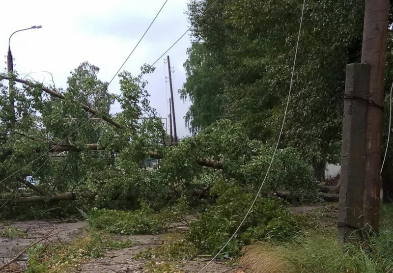 Ветер, ветер, ты могуч…