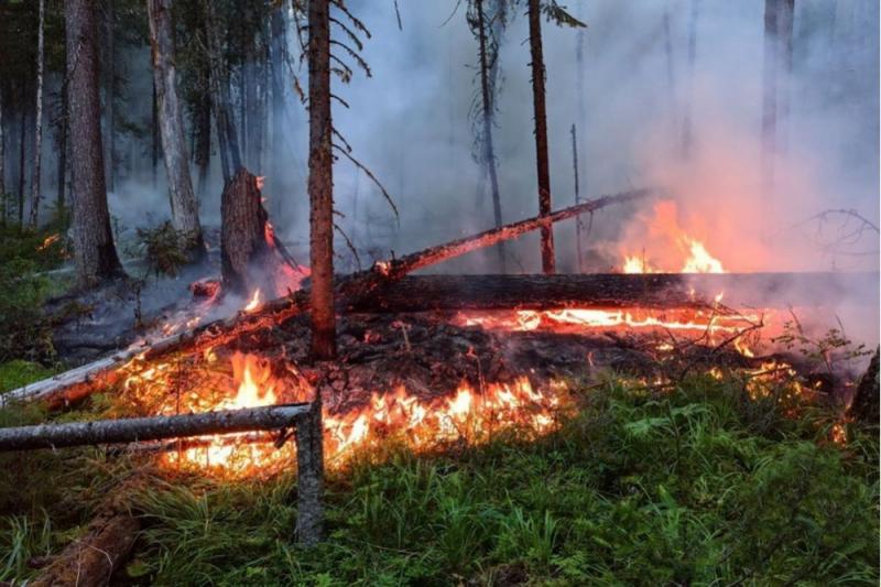 На Среднем Урале за сутки ликвидировали 15 природных пожаров