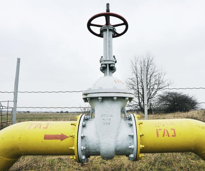 Хозяйской рукой