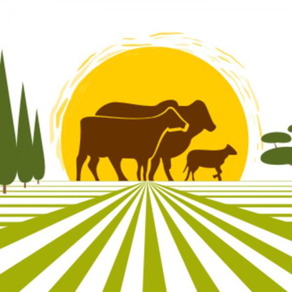 Первые шаги на невьянской земле