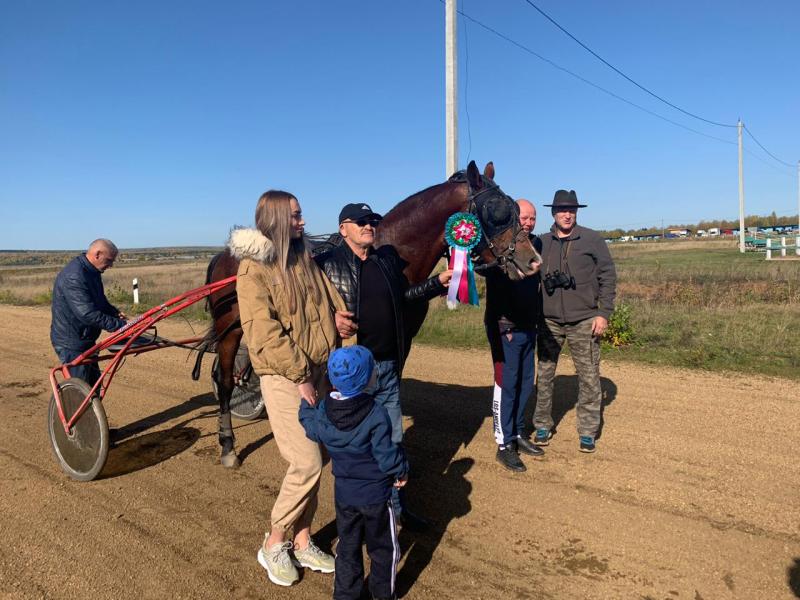 Намного больше, чем просто домашнее животное