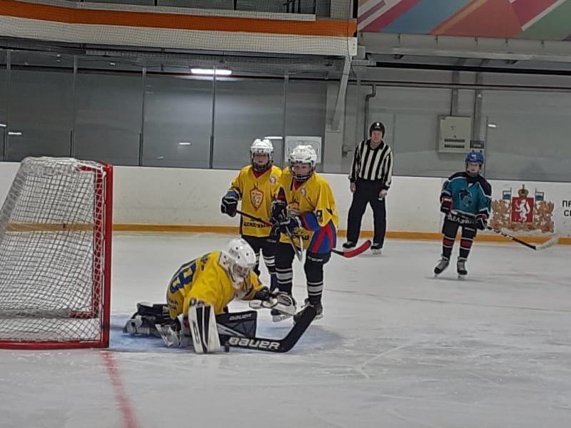 «Золотая шайба» наших хоккеистов