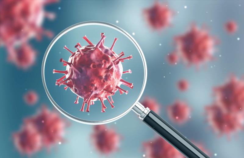 Знать, привиться, не паниковать