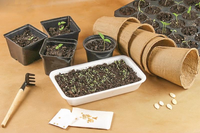 Март — солнцу рад