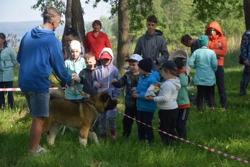 Дай лапу, друг!
