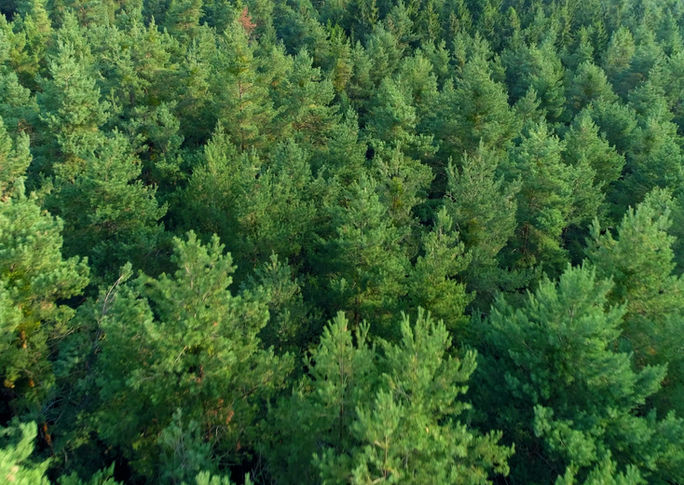 Свыше 200 заявок уже поступило на конкурс «Уральские каникулы», поддержанный губернатором