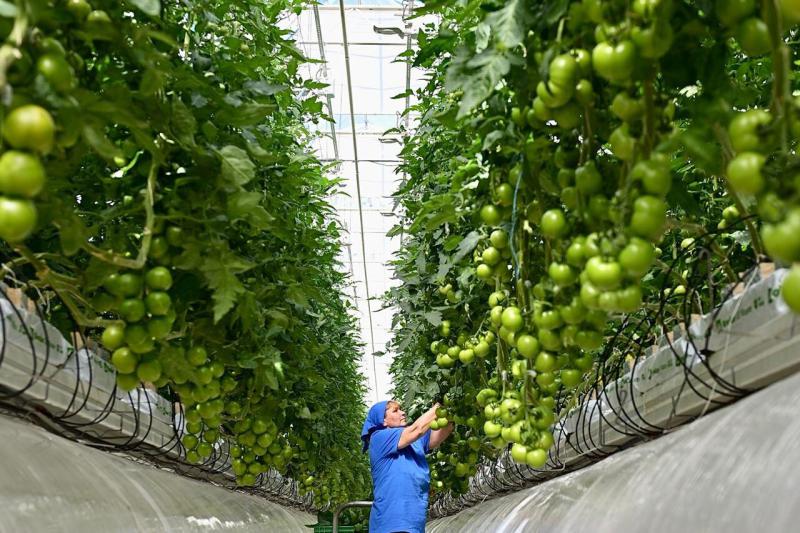 Евгений Куйвашев познакомил Дмитрия Патрушева с ведущими агропромышленными предприятиями региона и достижениями учёных в сельском хозяйстве