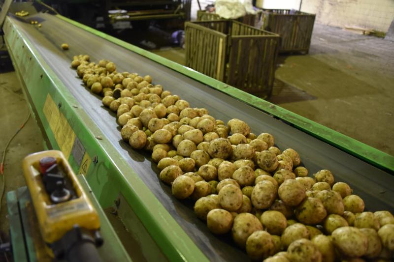 Более 61,5 миллиона рублей из федерального бюджета направят на объекты АПК в Свердловской области