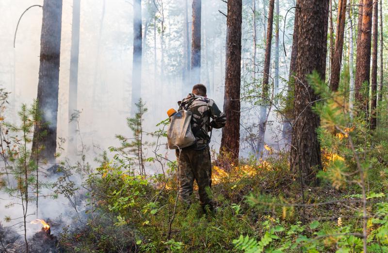 Ликвидированы лесные пожары на площади более 230 гектаров в Свердловской области