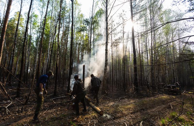 Локализованы все лесные пожары, действующие в Свердловской области
