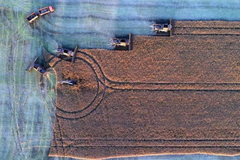 Какими будут цены на продукты на фоне высокого урожая