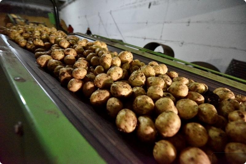 Евгений Куйвашев заявил о превышении планов по уборке урожая в Свердловской области