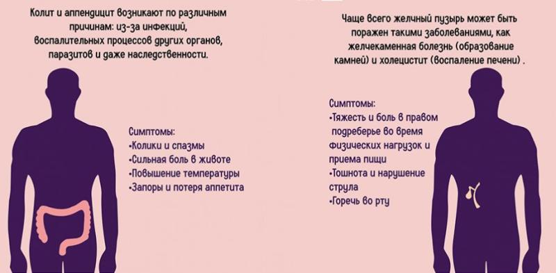 С 12 по 18 февраля в России проходит неделя профилактики заболеваний органов ЖКТ