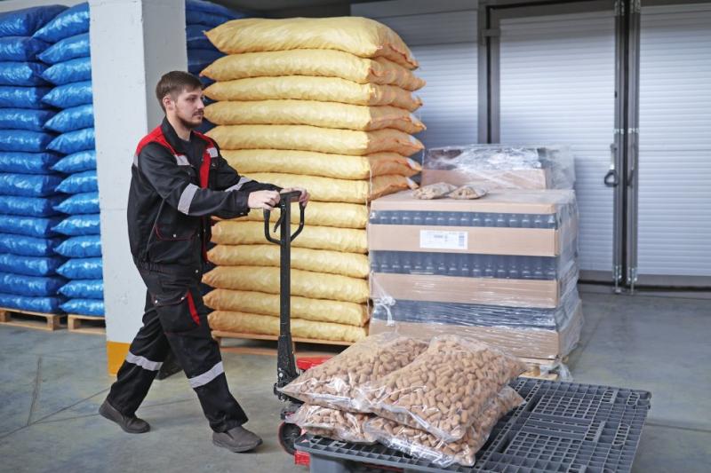 В Минтруде РФ перечислили самых востребованных специалистов в 2029 году