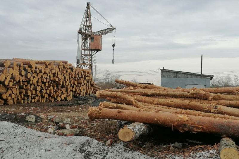 Сотрудники свердловского Минприроды усилили контроль за лесоперерабатывающими предприятиями, чтобы избежать пожаров