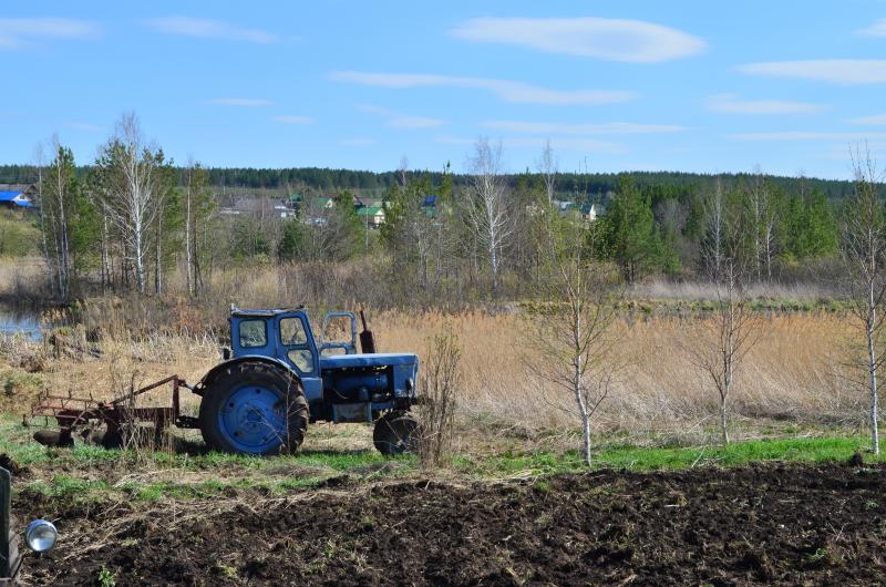 Посеяно, так вырастет
