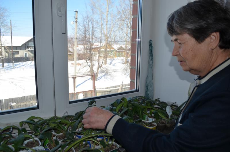 На дворе — апрель. За окном — капель.    На подоконнике — рассада…