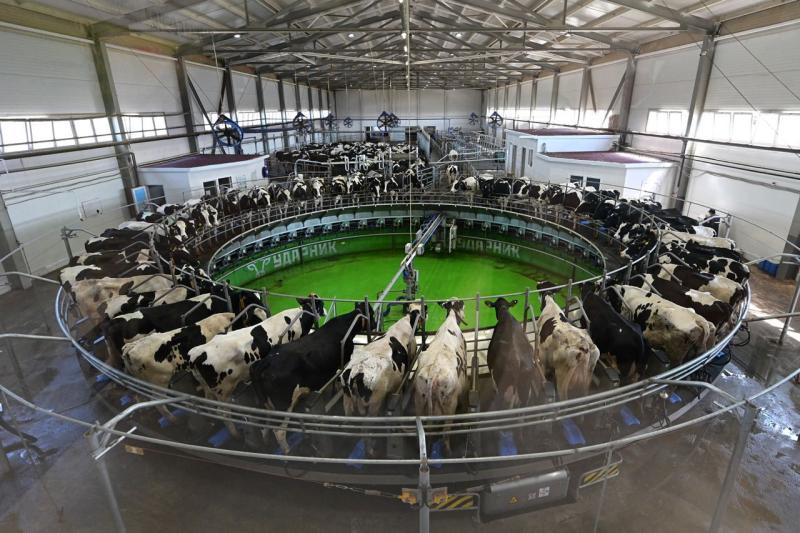 В Свердловской области впервые сделают ставку на сельское хозяйство