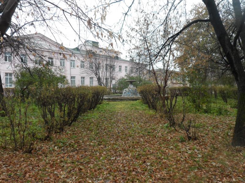 В парке ДК распускались бы розы…