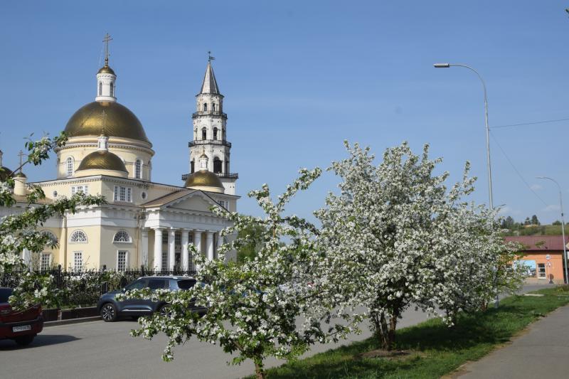 Самая мультимедийная